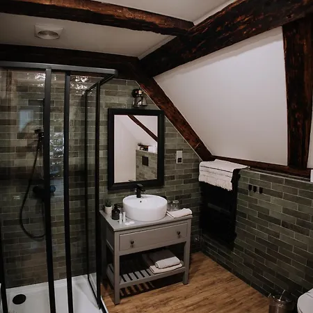 Mushrooms Malomszallas Tata