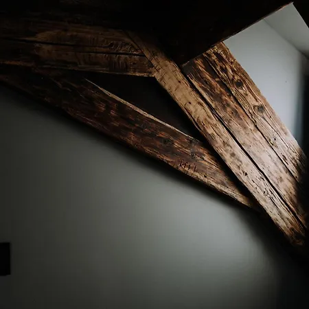 Lejlighed Mushrooms Malomszallas *