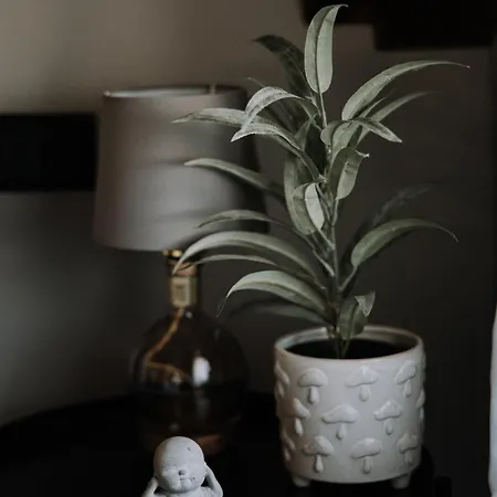 Lejlighed Mushrooms Malomszallas *