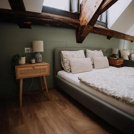 Mushrooms Malomszallas * Tata