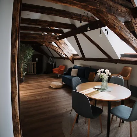 Mushrooms Malomszallas Tata