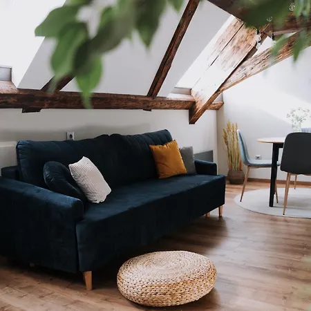 Mushrooms Malomszallas * Tata