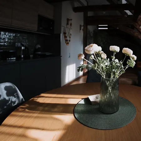 Mushrooms Malomszallas Lejlighed