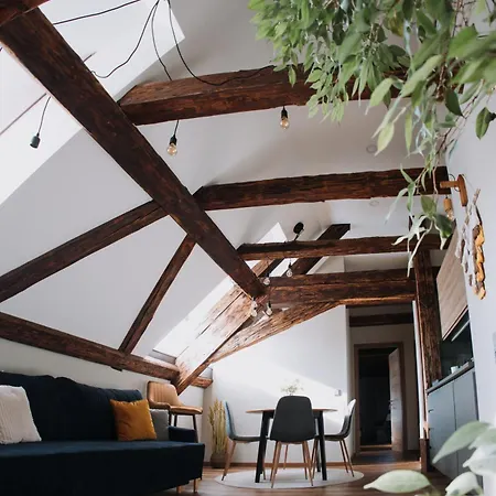 Mushrooms Malomszallas Lejlighed Tata