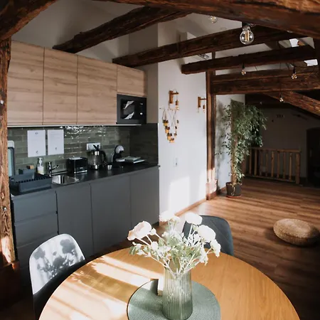 Mushrooms Malomszallas Tata